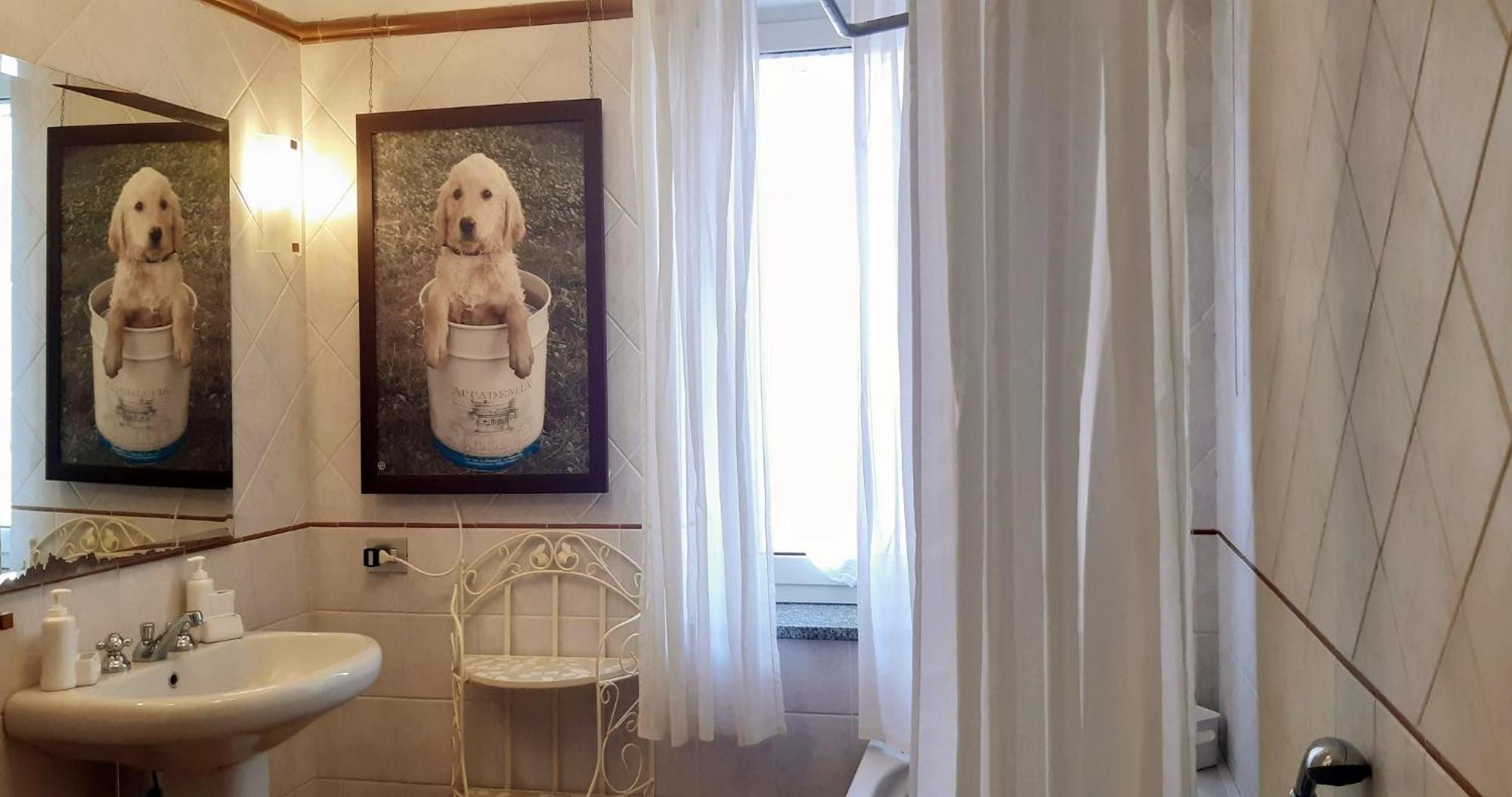 Fabiola B & B Marino Buitenkant foto