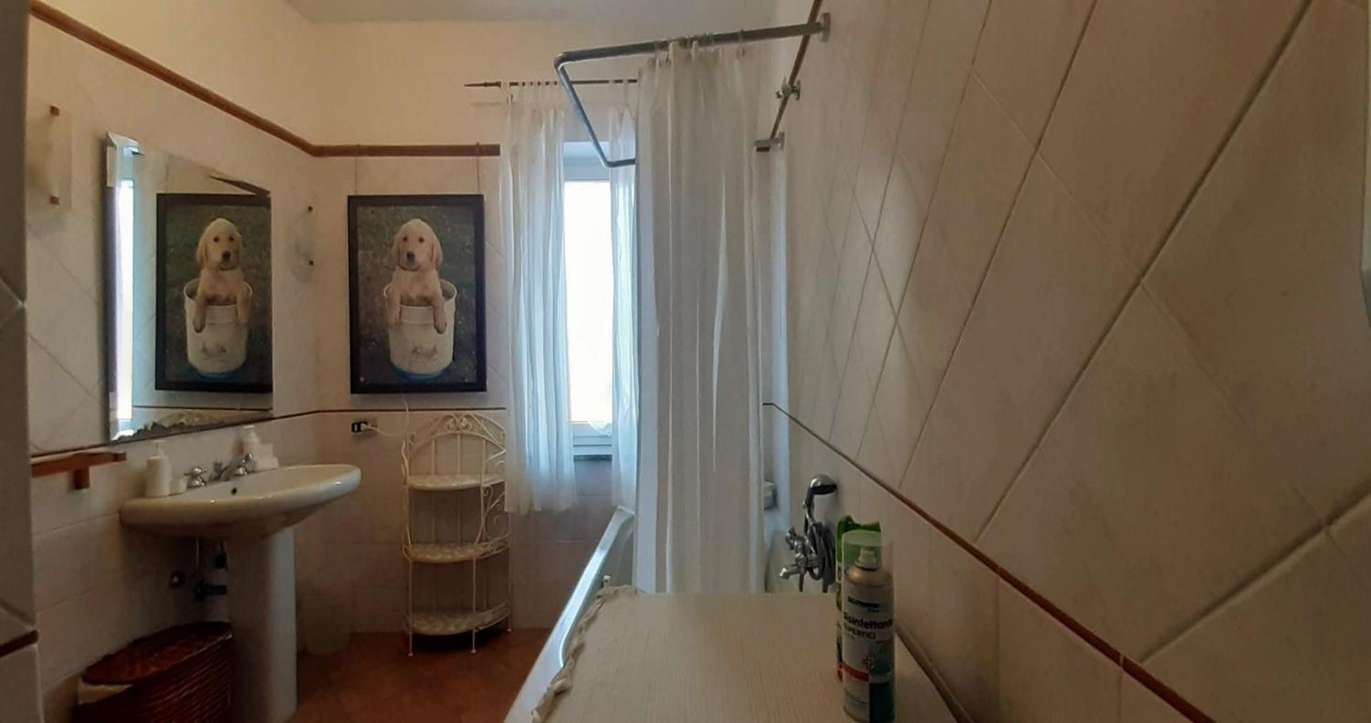 Fabiola B & B Marino Buitenkant foto